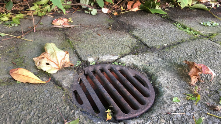 Round stormwater drain grates on paved area