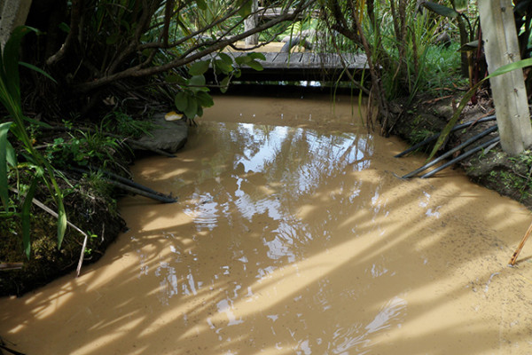 Image showing a stream contaminated by clay run-off from a building site or section